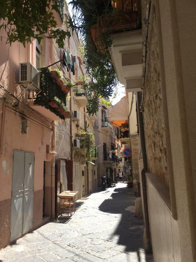 Larosablubarivecchia Apartament