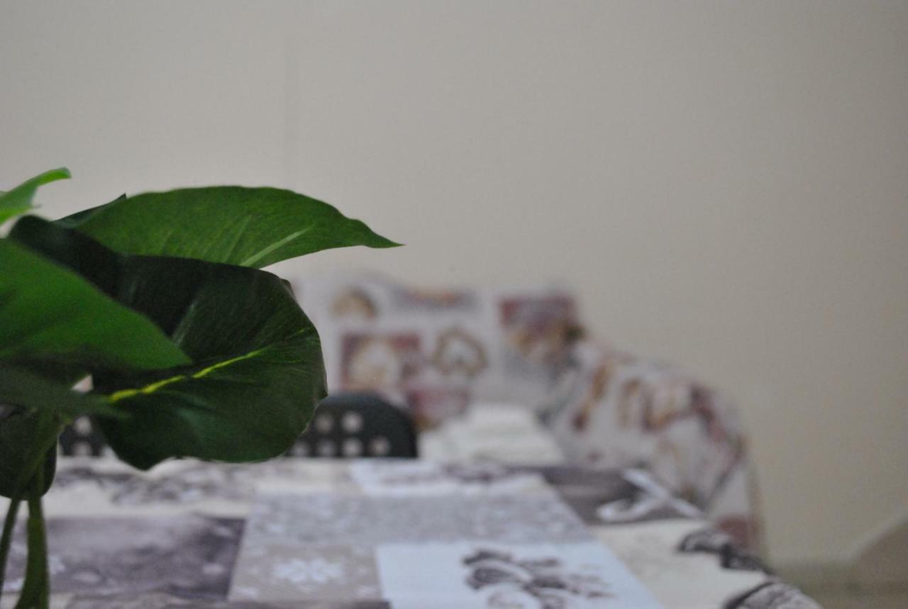 Apartament Larosablubarivecchia *